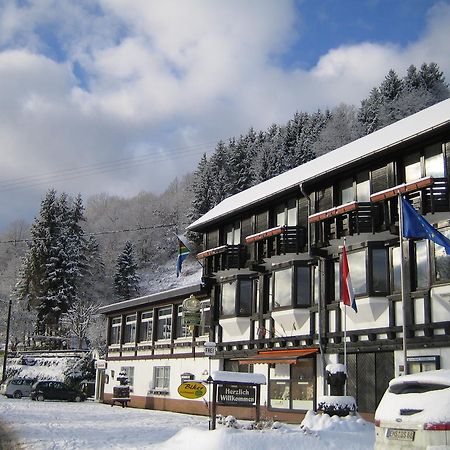 Landhotel Weinhaus Treis Weinähr Zewnętrze zdjęcie