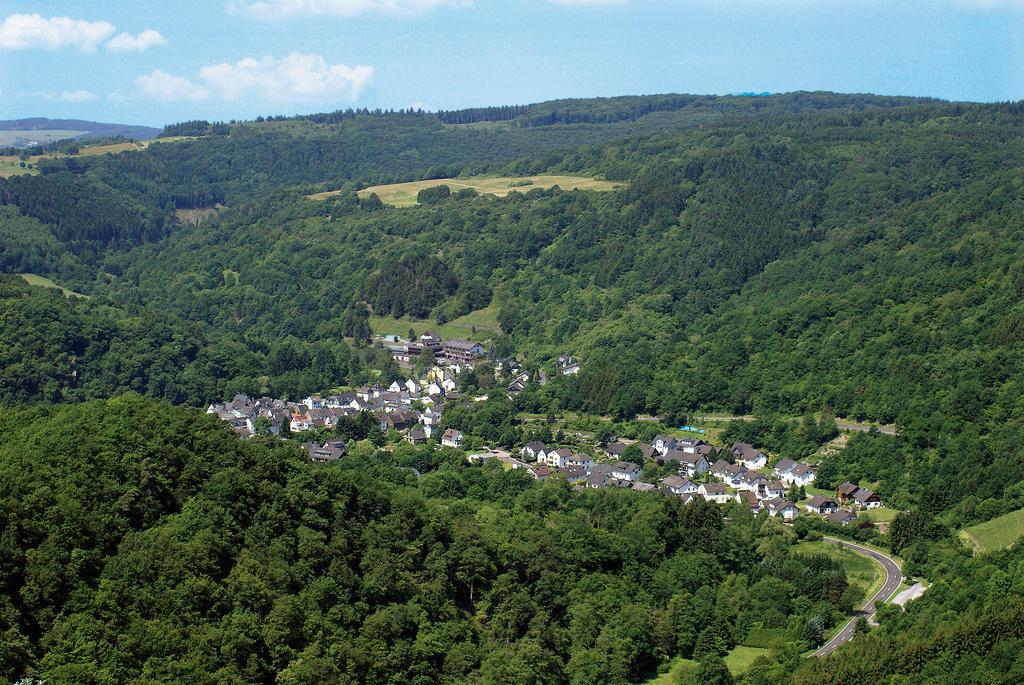 Landhotel Weinhaus Treis Weinähr Zewnętrze zdjęcie