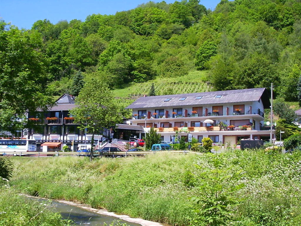 Landhotel Weinhaus Treis Weinähr Zewnętrze zdjęcie